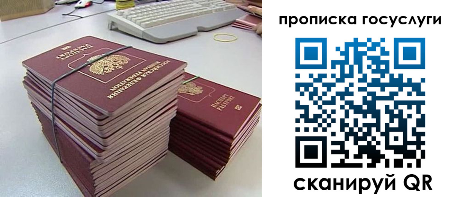 временная регистрация для школы в Невинномысске